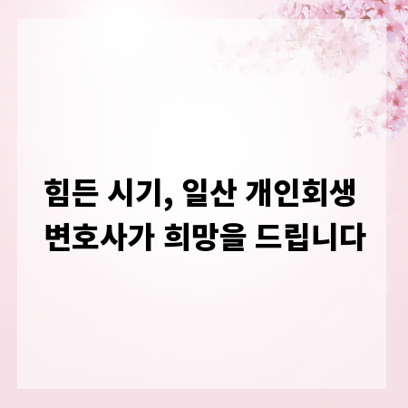 힘든 시기, 일산 개인회생 변호사가 희망을 드립니다