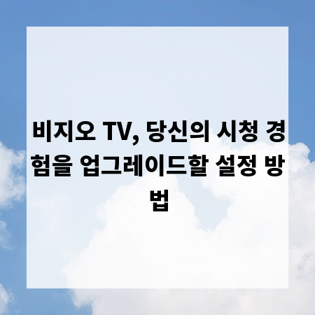 비지오 TV, 당신의 시청 경험을 업그레이드할 설정 방법