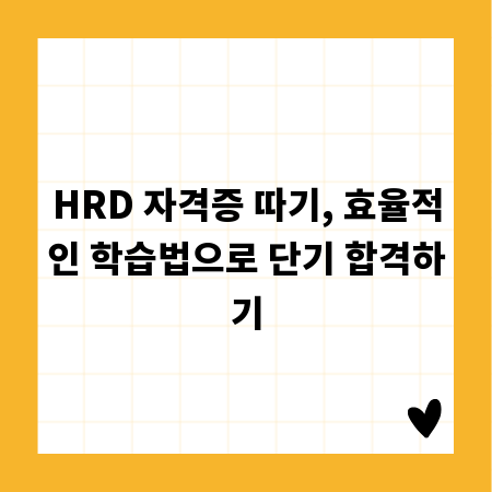 HRD 자격증 따기, 효율적인 학습법으로 단기 합격하기