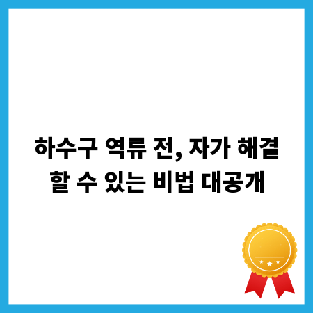 하수구 역류 전, 자가 해결할 수 있는 비법 대공개