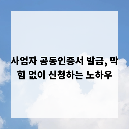 사업자 공동인증서 발급, 막힘 없이 신청하는 노하우
