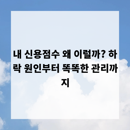 내 신용점수 왜 이럴까? 하락 원인부터 똑똑한 관리까지
