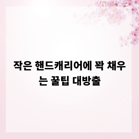 작은 핸드캐리어에 꽉 채우는 꿀팁 대방출