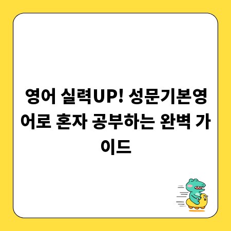영어 실력UP! 성문기본영어로 혼자 공부하는 완벽 가이드