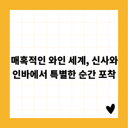 매혹적인 와인 세계, 신사와인바에서 특별한 순간 포착