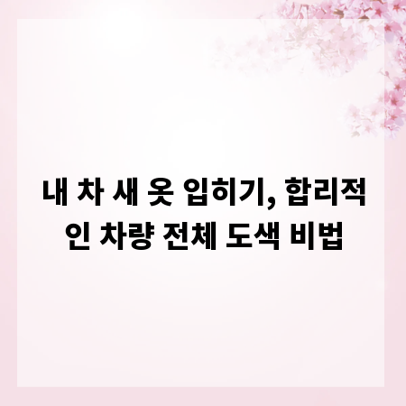 내 차 새 옷 입히기, 합리적인 차량 전체 도색 비법