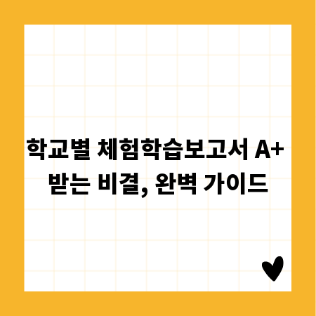 학교별 체험학습보고서 A+ 받는 비결, 완벽 가이드