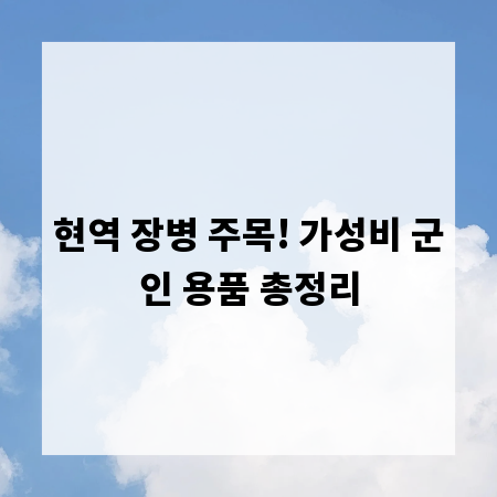 현역 장병 주목! 가성비 군인 용품 총정리