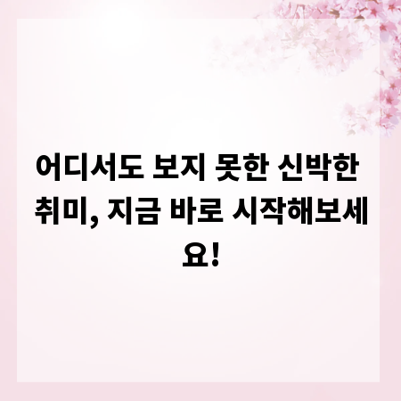어디서도 보지 못한 신박한 취미, 지금 바로 시작해보세요!