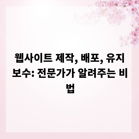 웹사이트 제작, 배포, 유지보수: 전문가가 알려주는 비법