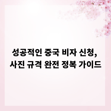 성공적인 중국 비자 신청, 사진 규격 완전 정복 가이드