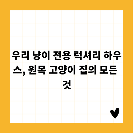 우리 냥이 전용 럭셔리 하우스, 원목 고양이 집의 모든 것