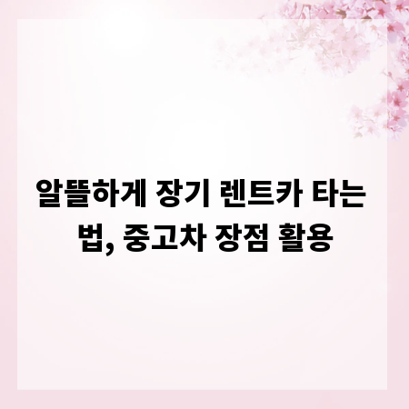 알뜰하게 장기 렌트카 타는 법, 중고차 장점 활용