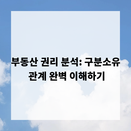 부동산 권리 분석: 구분소유 관계 완벽 이해하기