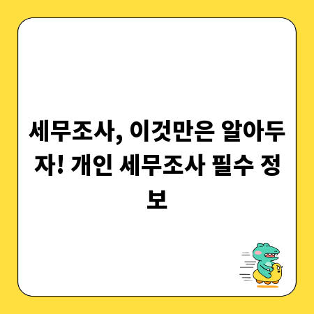 세무조사, 이것만은 알아두자! 개인 세무조사 필수 정보