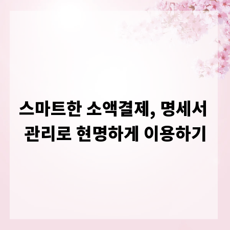 스마트한 소액결제, 명세서 관리로 현명하게 이용하기