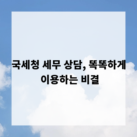 국세청 세무 상담, 똑똑하게 이용하는 비결