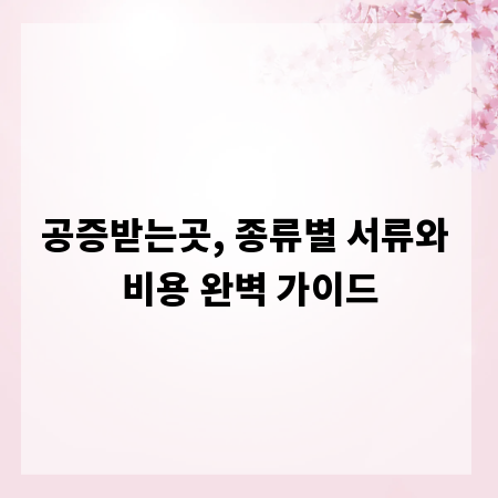 공증받는곳, 종류별 서류와 비용 완벽 가이드