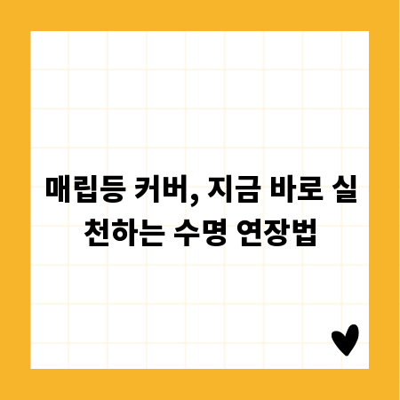 매립등 커버, 지금 바로 실천하는 수명 연장법