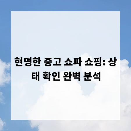 현명한 중고 쇼파 쇼핑: 상태 확인 완벽 분석