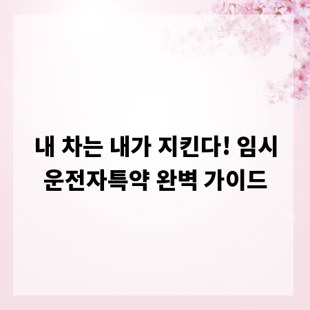 내 차는 내가 지킨다! 임시운전자특약 완벽 가이드