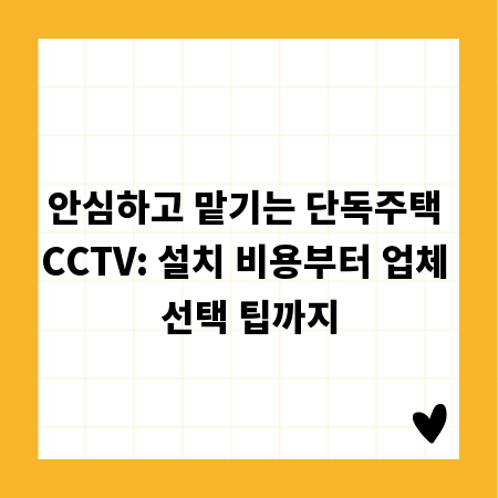 안심하고 맡기는 단독주택 CCTV: 설치 비용부터 업체 선택 팁까지