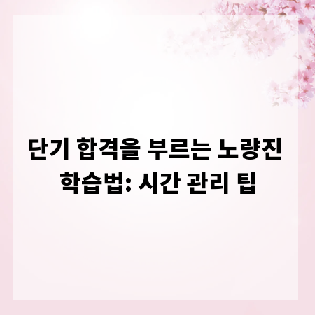 단기 합격을 부르는 노량진 학습법: 시간 관리 팁