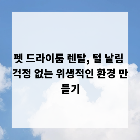 펫 드라이룸 렌탈, 털 날림 걱정 없는 위생적인 환경 만들기