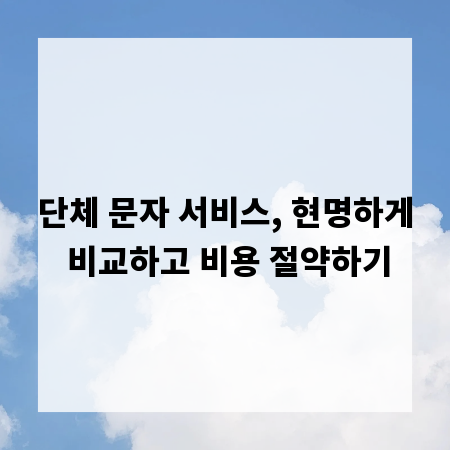 단체 문자 서비스, 현명하게 비교하고 비용 절약하기