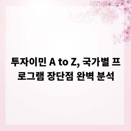투자이민 A to Z, 국가별 프로그램 장단점 완벽 분석