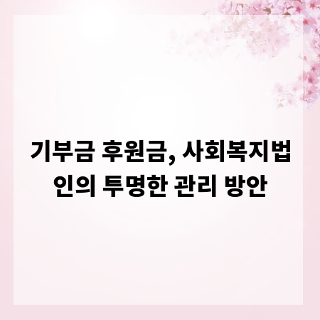 기부금 후원금, 사회복지법인의 투명한 관리 방안