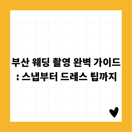 부산 웨딩 촬영 완벽 가이드: 스냅부터 드레스 팁까지