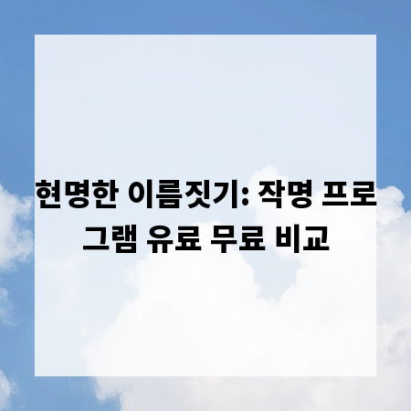 현명한 이름짓기: 작명 프로그램 유료 무료 비교