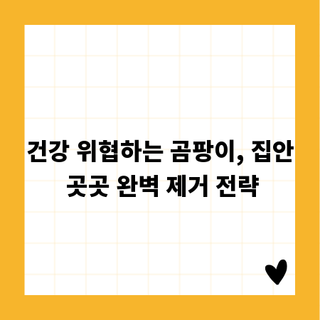 건강 위협하는 곰팡이, 집안 곳곳 완벽 제거 전략