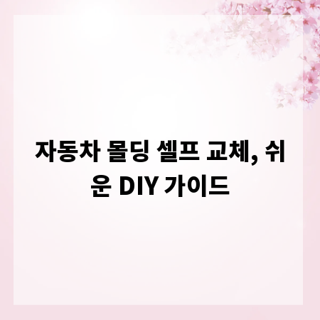 자동차 몰딩 셀프 교체, 쉬운 DIY 가이드