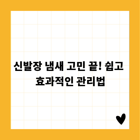 신발장 냄새 고민 끝! 쉽고 효과적인 관리법