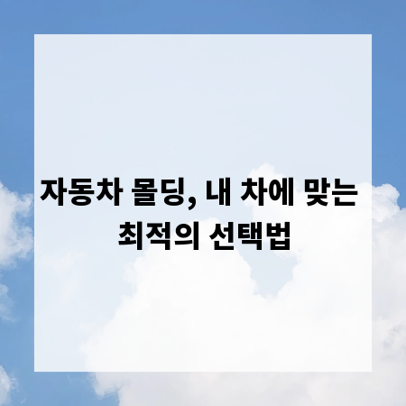 자동차 몰딩, 내 차에 맞는 최적의 선택법