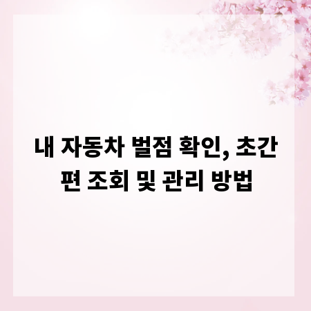 내 자동차 벌점 확인, 초간편 조회 및 관리 방법