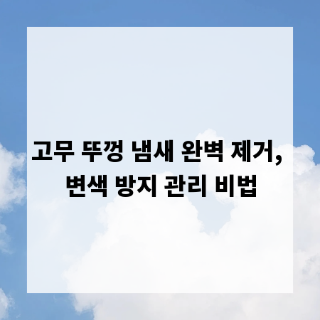 고무 뚜껑 냄새 완벽 제거, 변색 방지 관리 비법