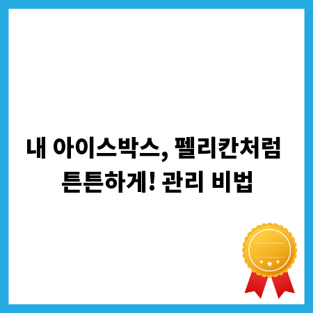 내 아이스박스, 펠리칸처럼 튼튼하게! 관리 비법