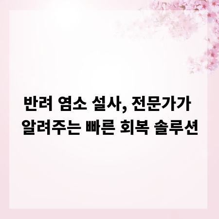 반려 염소 설사, 전문가가 알려주는 빠른 회복 솔루션