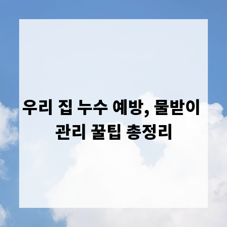 우리 집 누수 예방, 물받이 관리 꿀팁 총정리