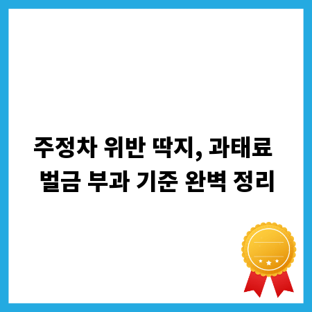 주정차 위반 딱지, 과태료 벌금 부과 기준 완벽 정리