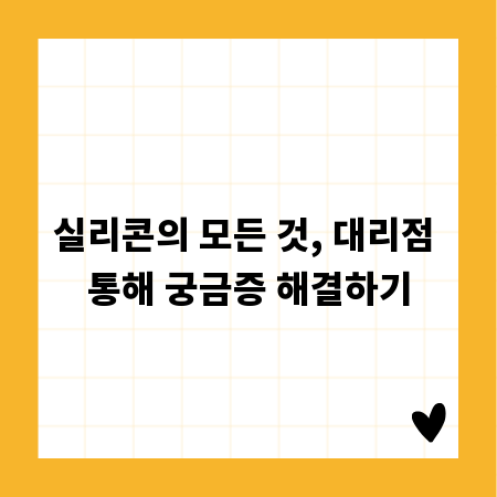 실리콘의 모든 것, 대리점 통해 궁금증 해결하기