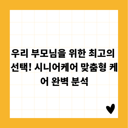 우리 부모님을 위한 최고의 선택! 시니어케어 맞춤형 케어 완벽 분석
