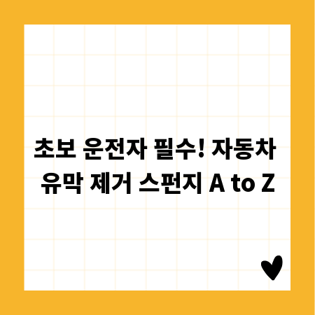 초보 운전자 필수! 자동차 유막 제거 스펀지 A to Z