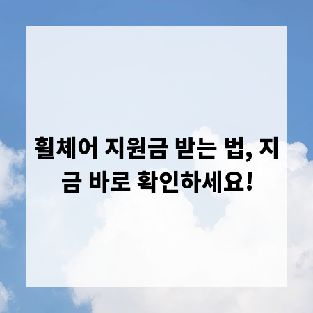 휠체어 지원금 받는 법, 지금 바로 확인하세요!