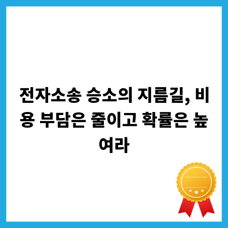 전자소송 승소의 지름길, 비용 부담은 줄이고 확률은 높여라