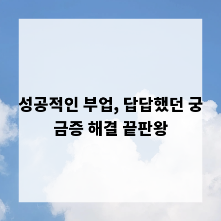 성공적인 부업, 답답했던 궁금증 해결 끝판왕