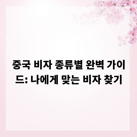 중국 비자 종류별 완벽 가이드: 나에게 맞는 비자 찾기